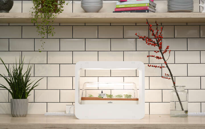 romberg Mini-Garten mit LED-Beleuchtung